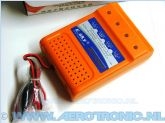 Smart Balance charger